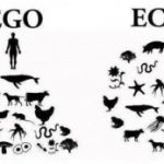 ego-ve-eco-300×173.jpg