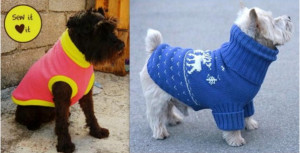 suéter de abrigo de perro